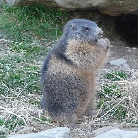 דירה Hanserhof *