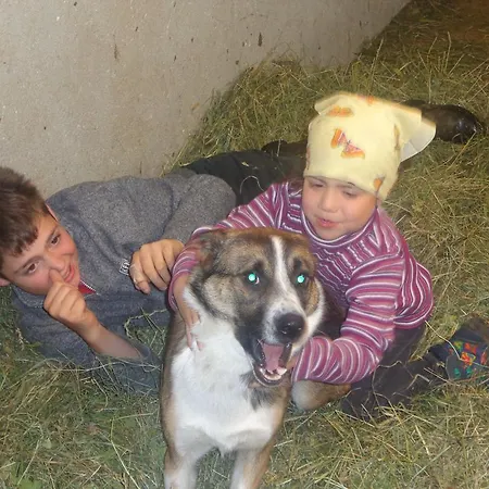 Daire Hanserhof Zell am Ziller