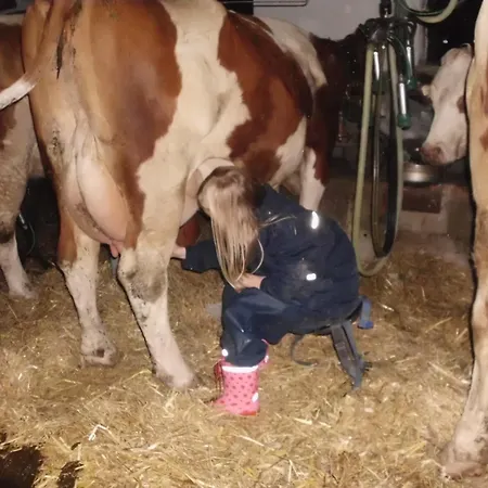 Hanserhof Daire Zell am Ziller