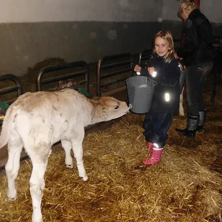 Daire Hanserhof Zell am Ziller