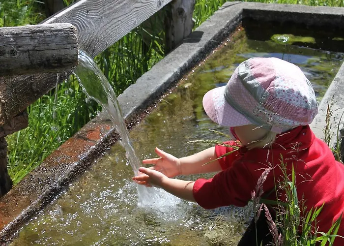 Hanserhof * Цель-ам-Циллер