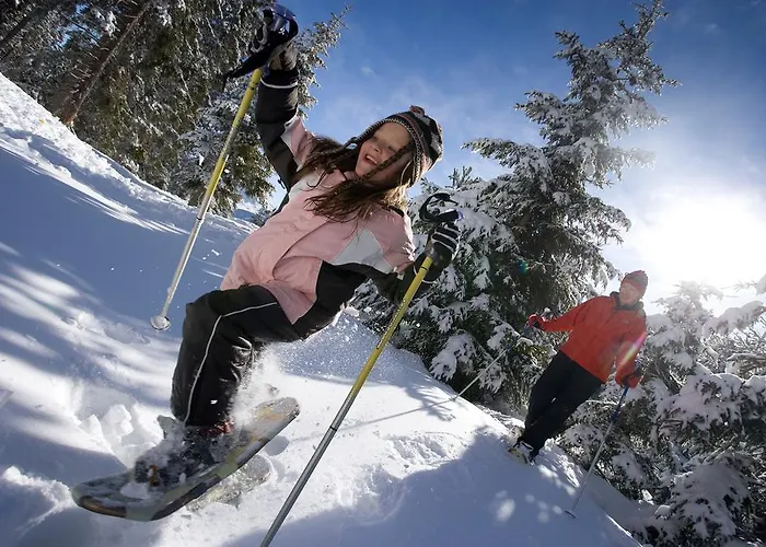 Апартаменты Hanserhof Цель-ам-Циллер