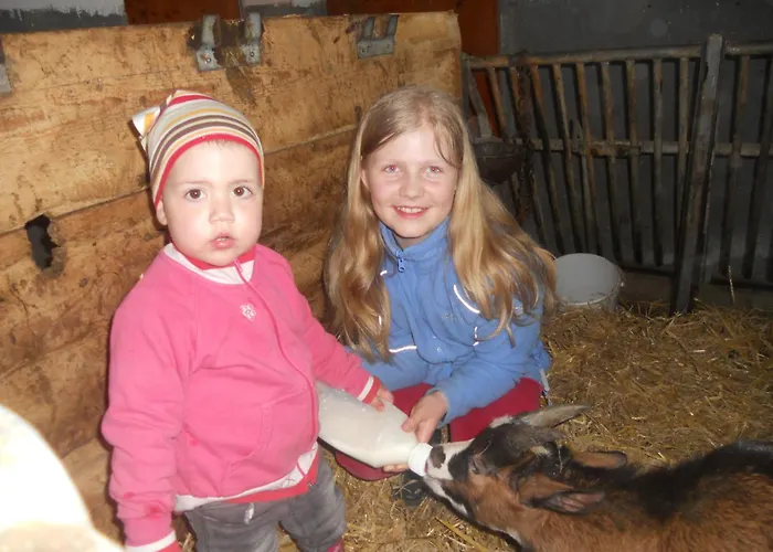 Апартаменты Hanserhof *