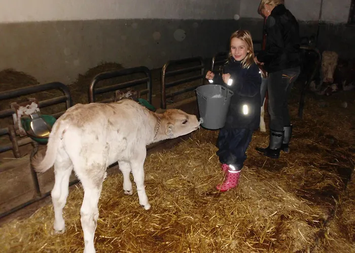 Апартаменты Hanserhof Цель-ам-Циллер