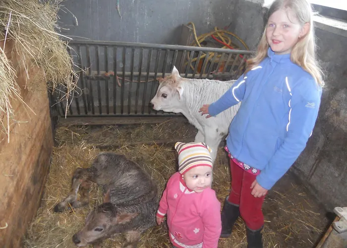 Апартаменты Hanserhof *