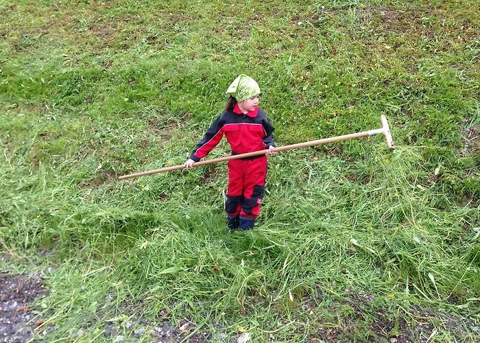 Апартаменты Hanserhof