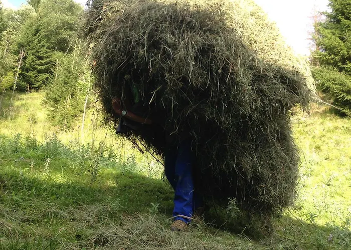 Апартаменты Hanserhof *