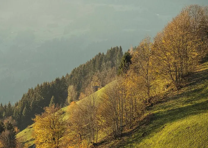 Hanserhof Апартаменты