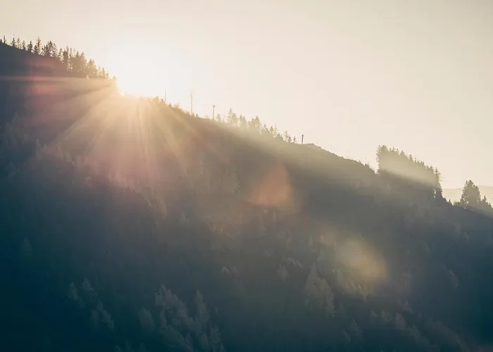 Hanserhof Апартаменты *