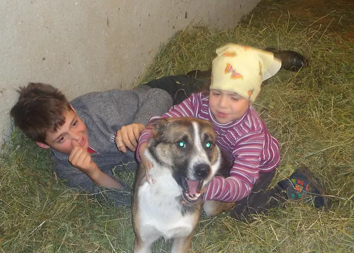 Daire Hanserhof Zell am Ziller