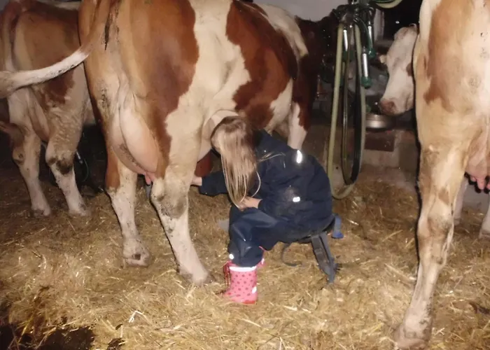 Hanserhof Daire Zell am Ziller