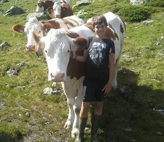 Hanserhof Zell am Ziller