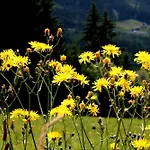 Hanserhof