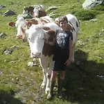 Hanserhof Zell am Ziller