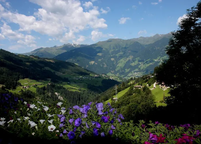 Apartman Hanserhof *